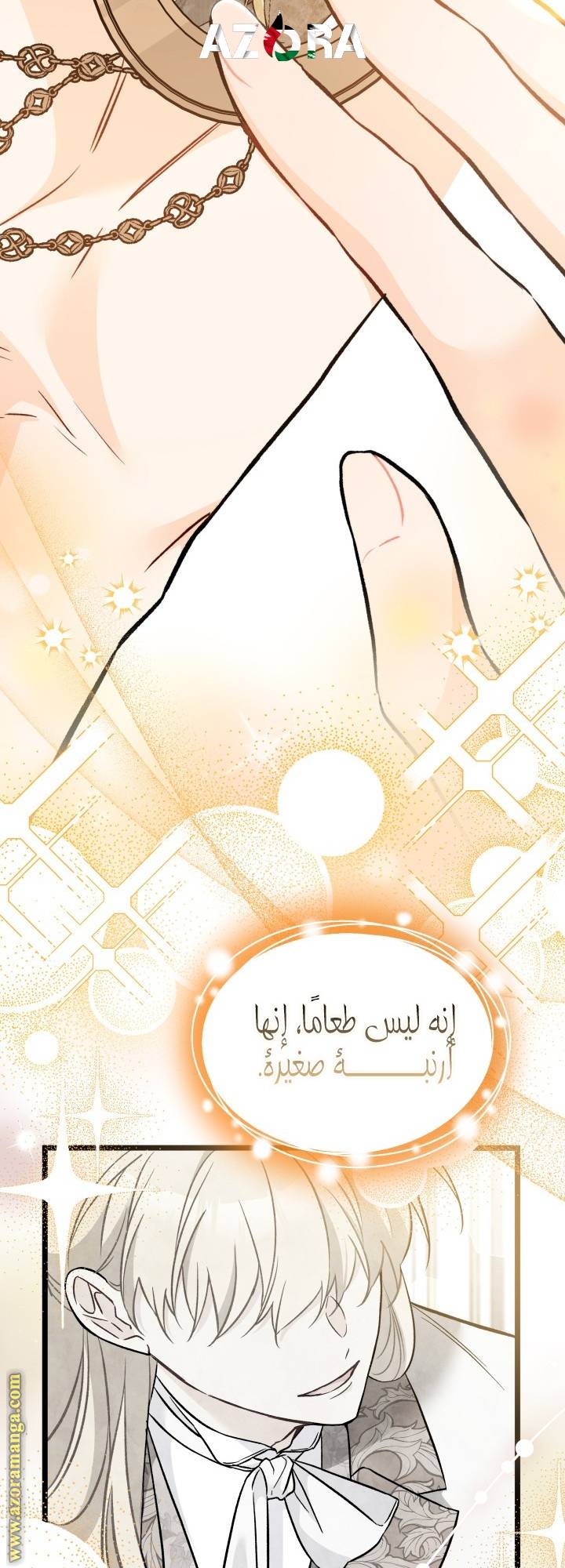 الصفحة 51