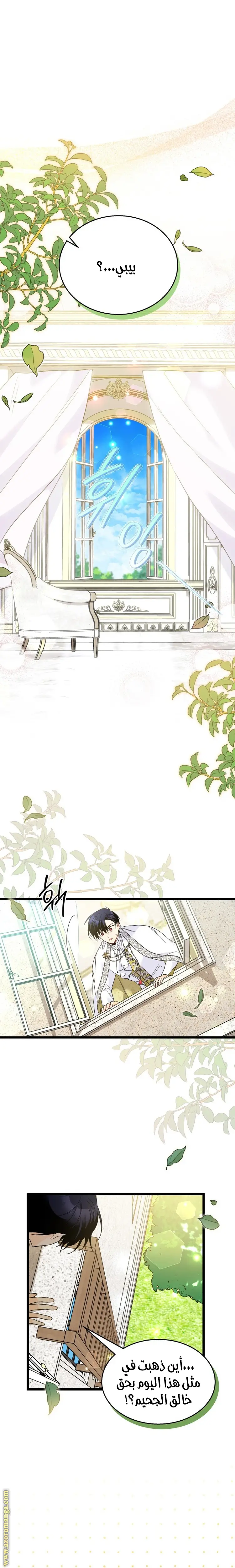 الصفحة 12