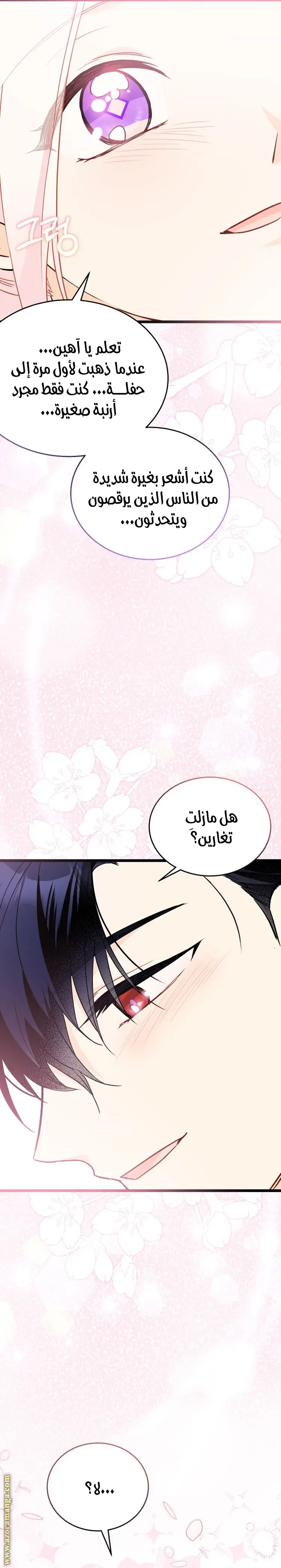 الصفحة 24