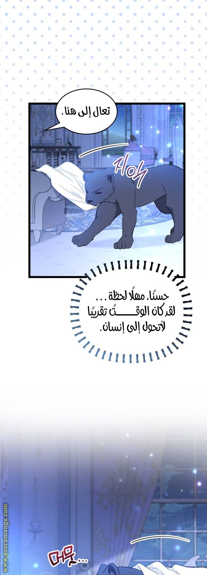 الصفحة 11