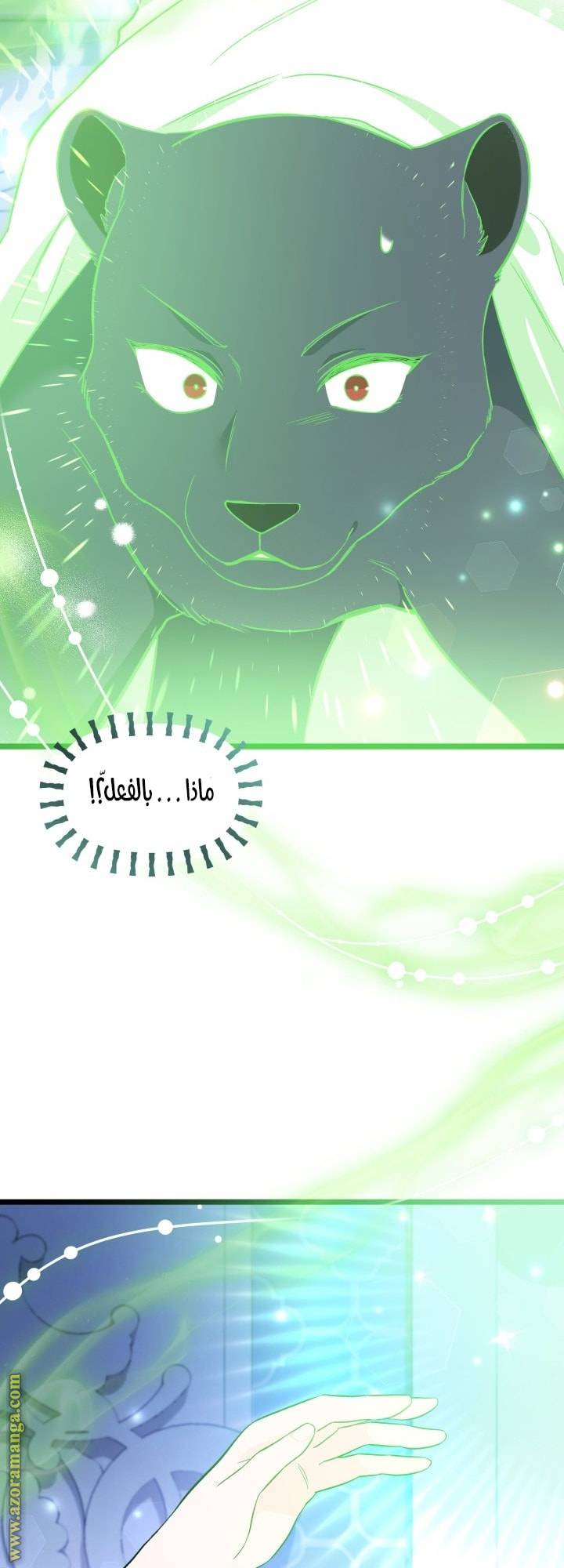الصفحة 15