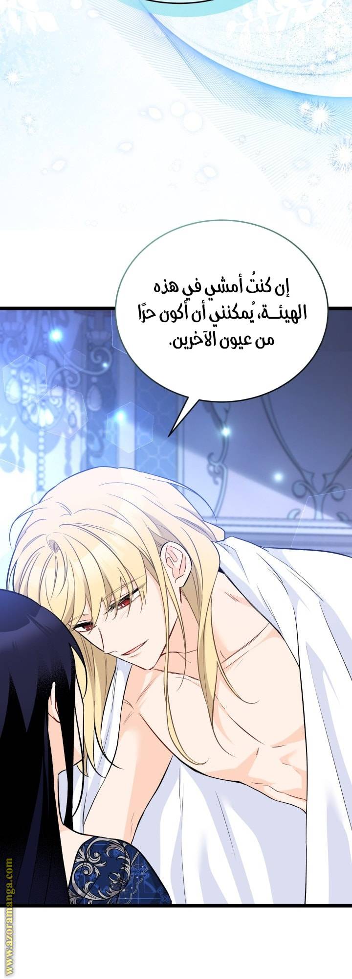 الصفحة 27
