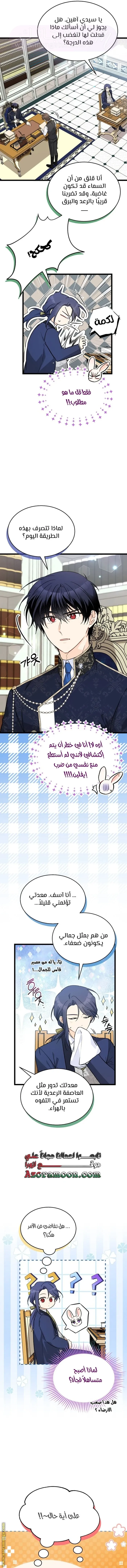 الصفحة 7