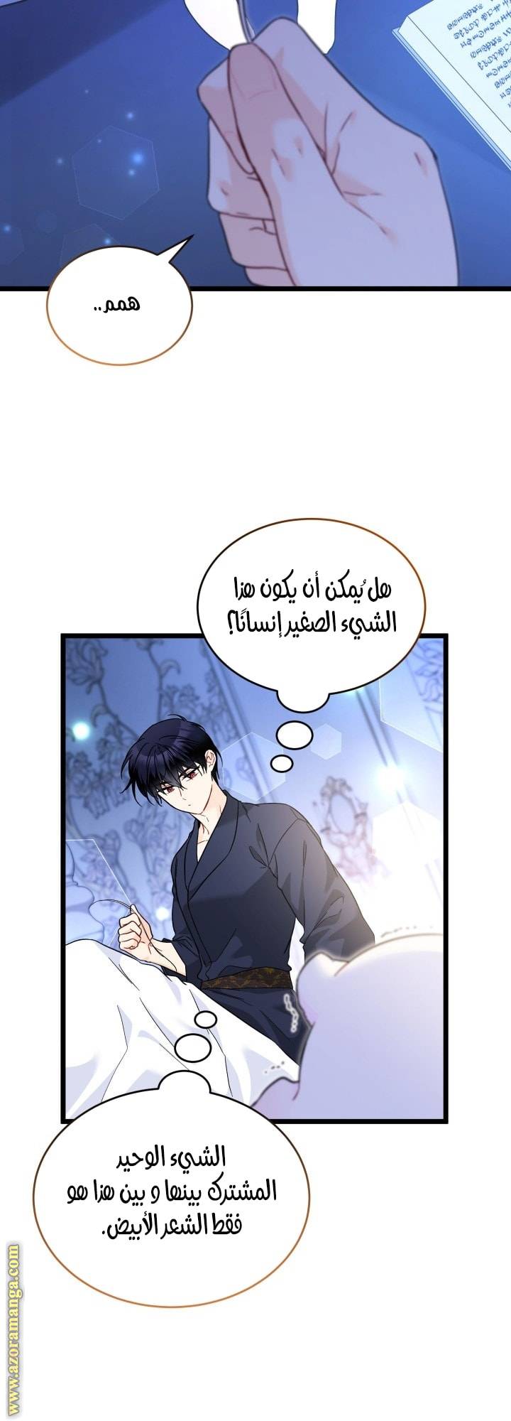 الصفحة 28