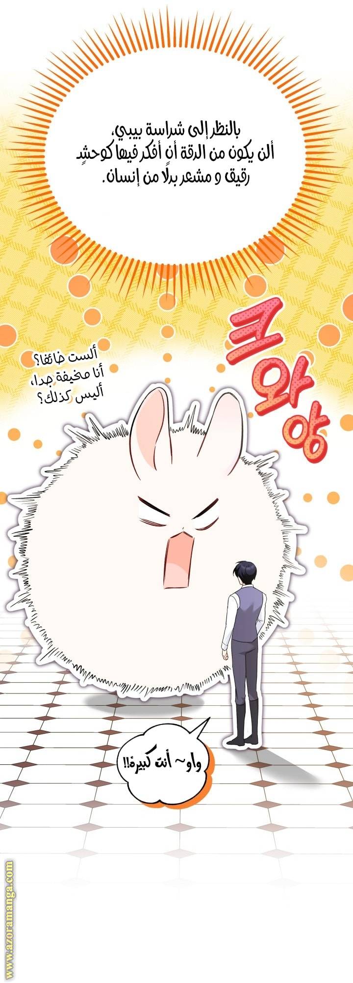 الصفحة 29