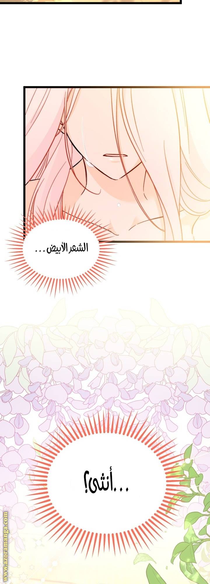 الصفحة 34
