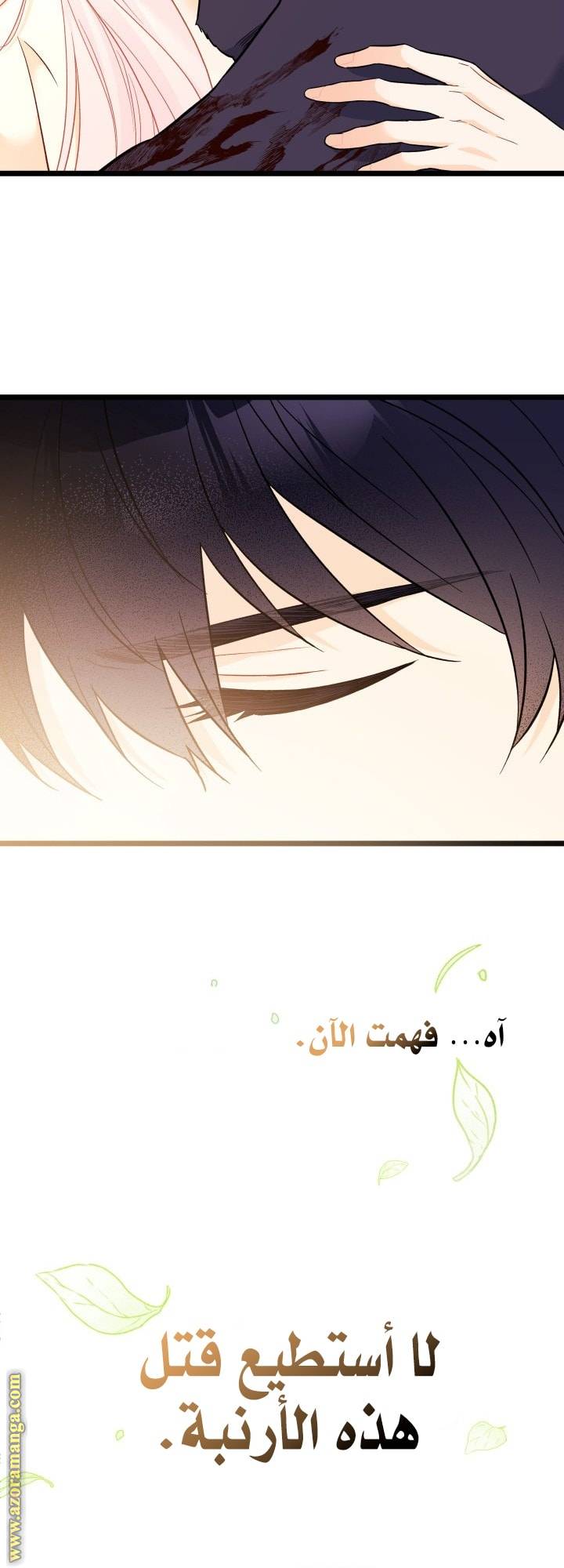 الصفحة 41