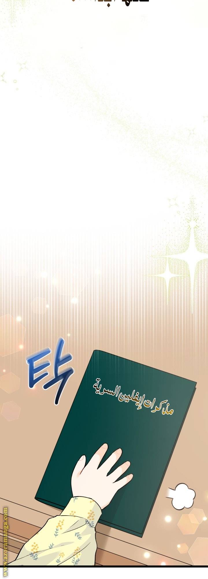 الصفحة 43