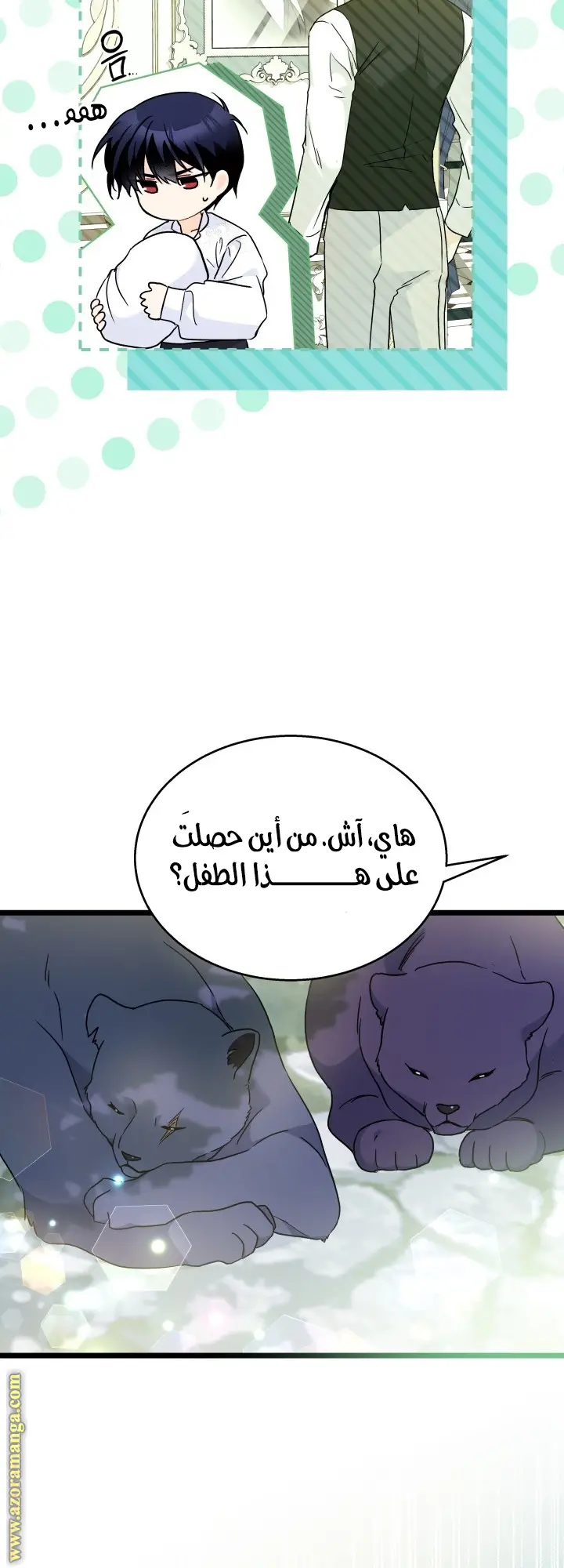 الصفحة 17