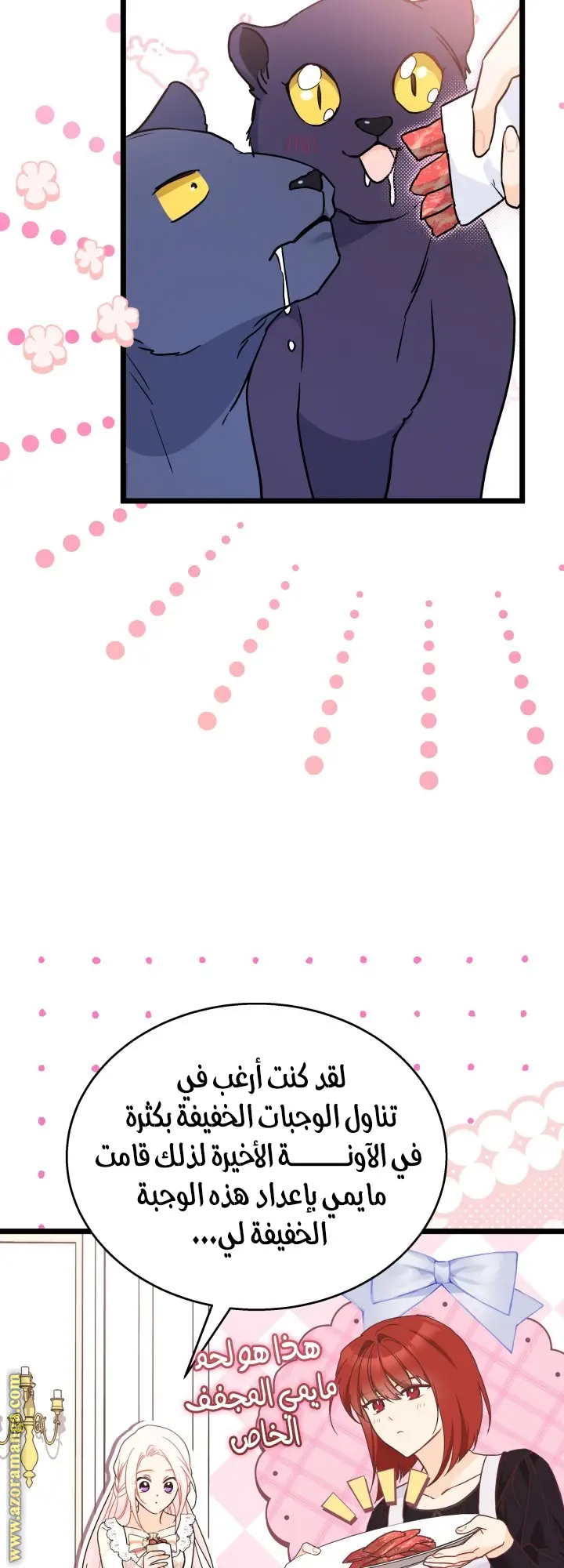 الصفحة 38