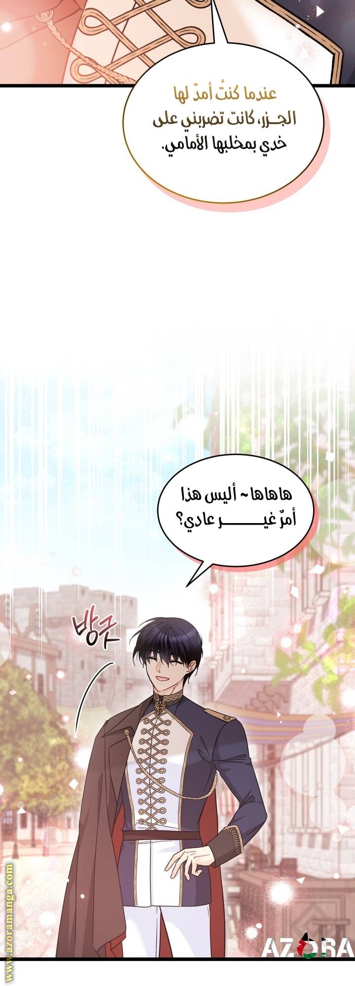 الصفحة 13