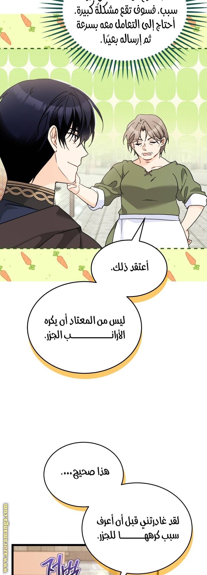 الصفحة 15