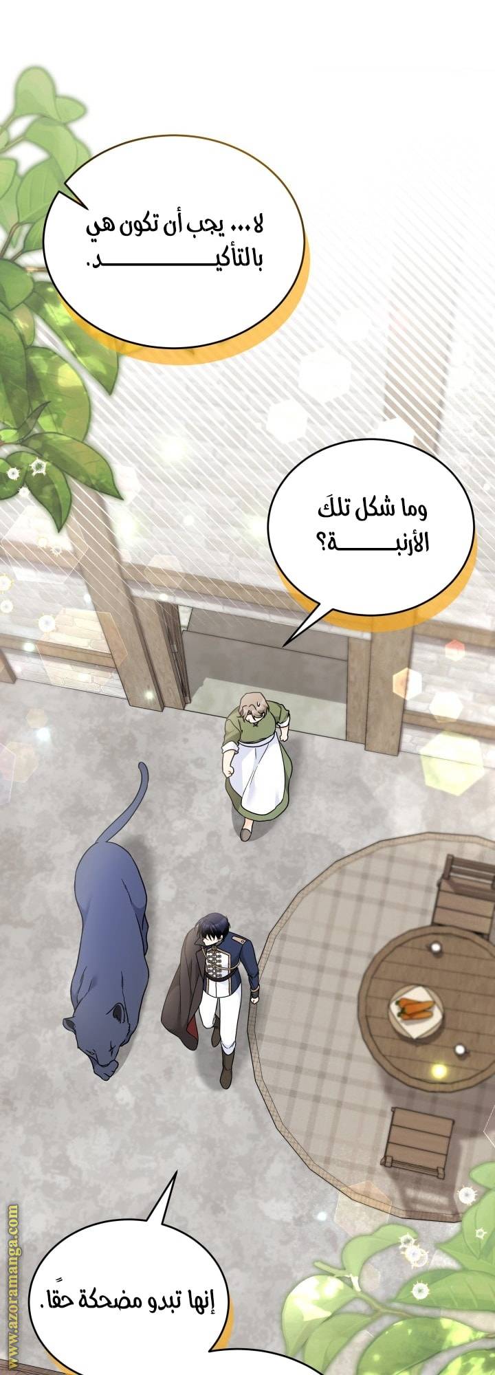الصفحة 17