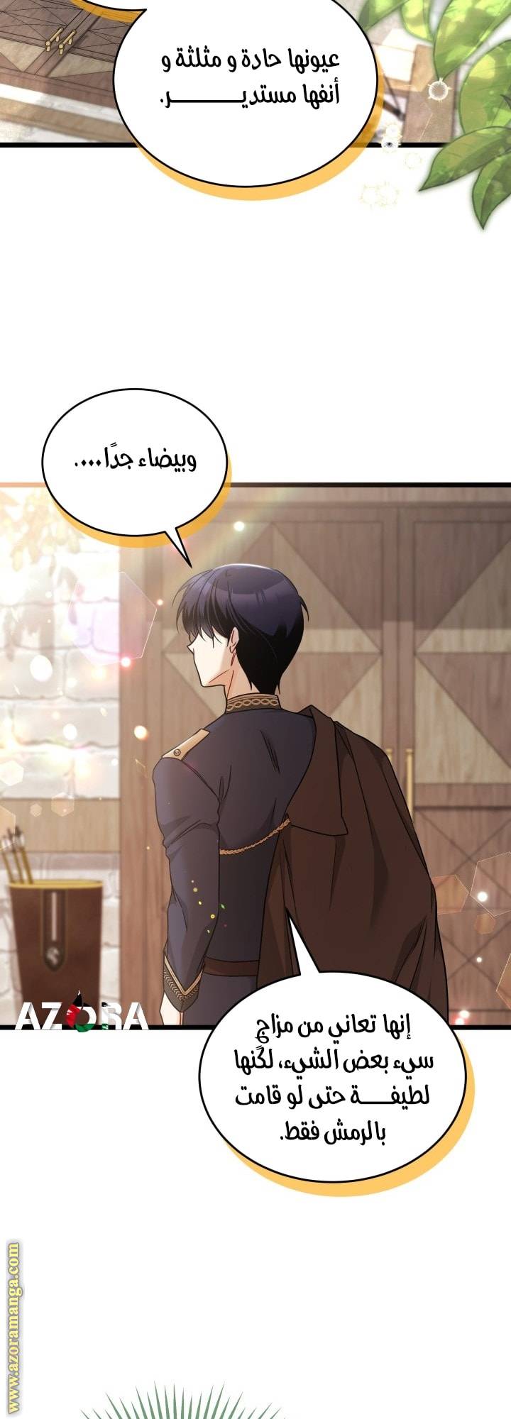 الصفحة 18