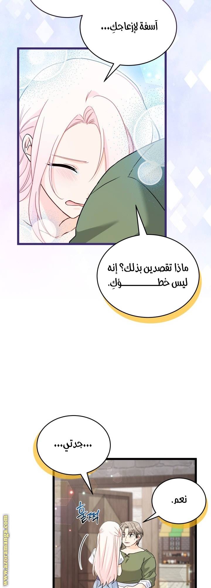 الصفحة 42