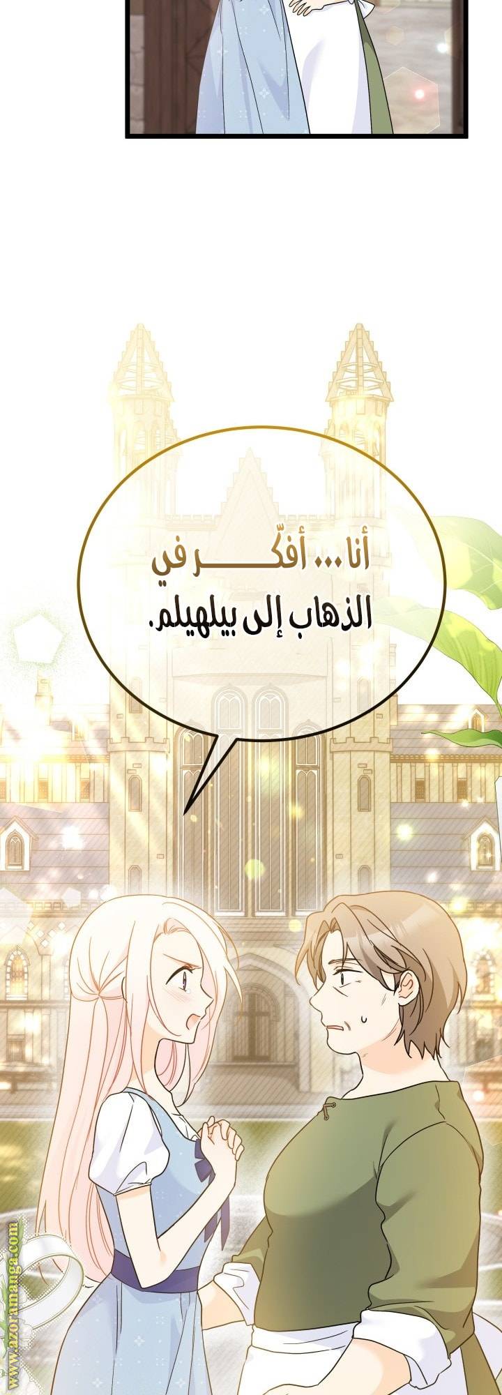 الصفحة 43