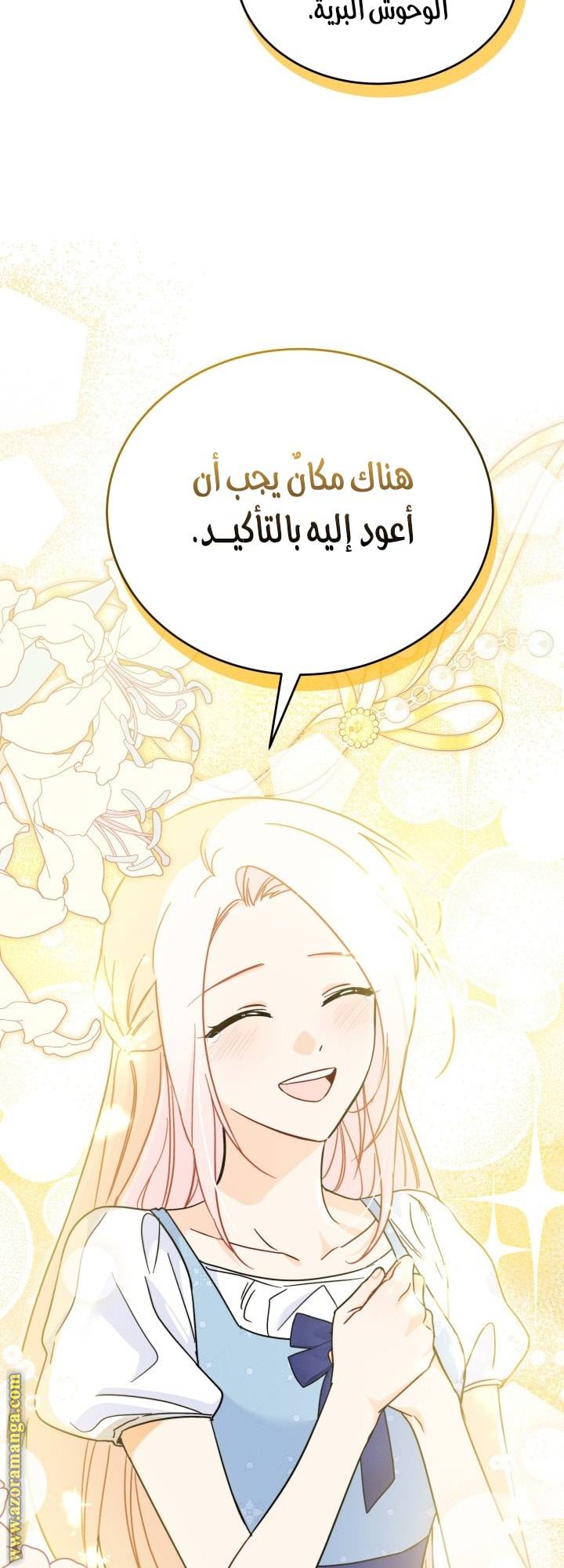 الصفحة 45