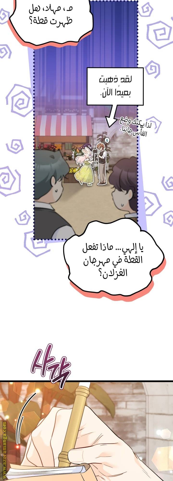 الصفحة 27