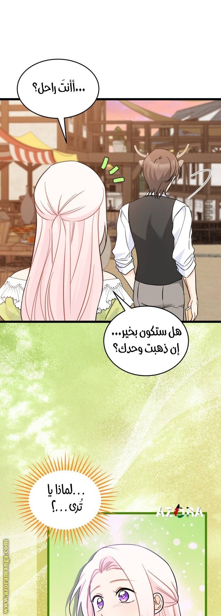 الصفحة 29