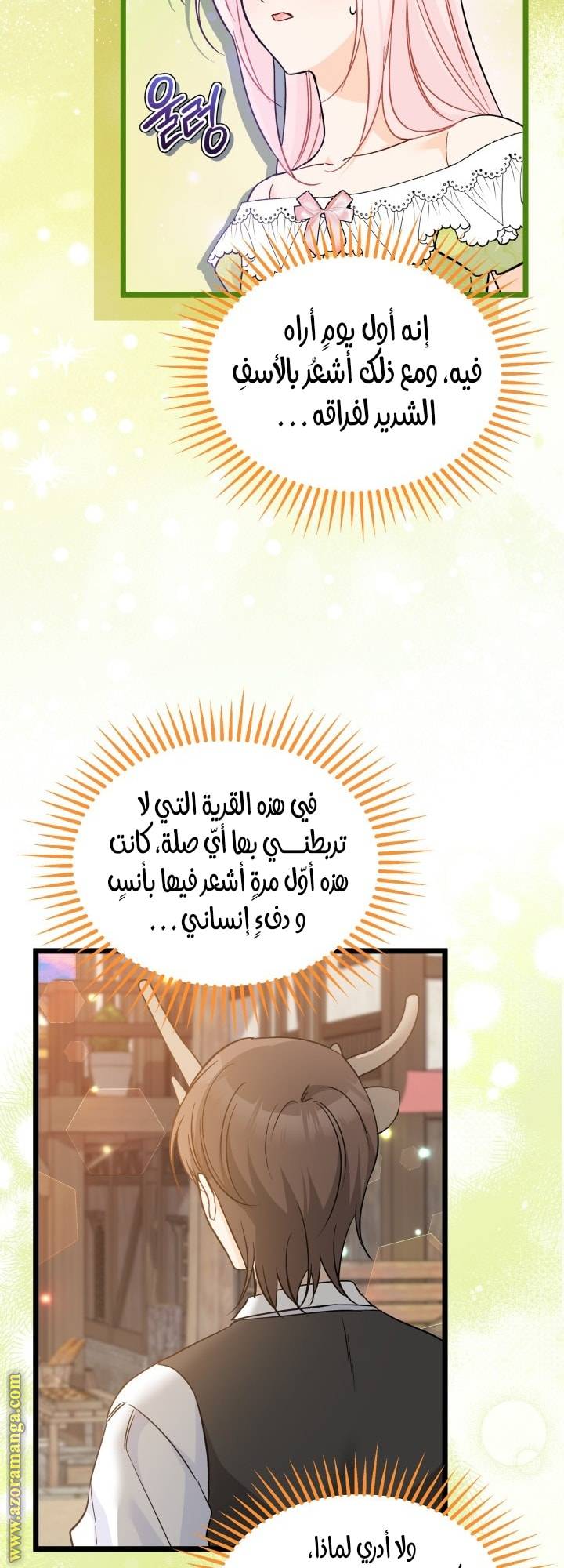 الصفحة 30