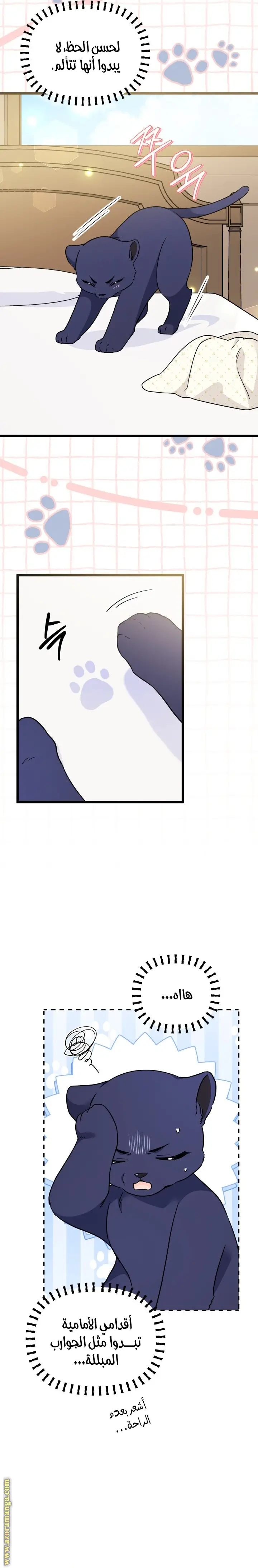 الصفحة 12