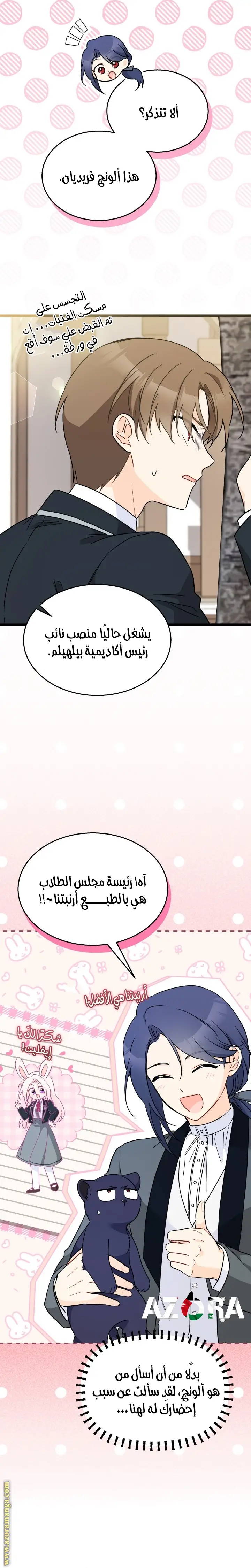الصفحة 17