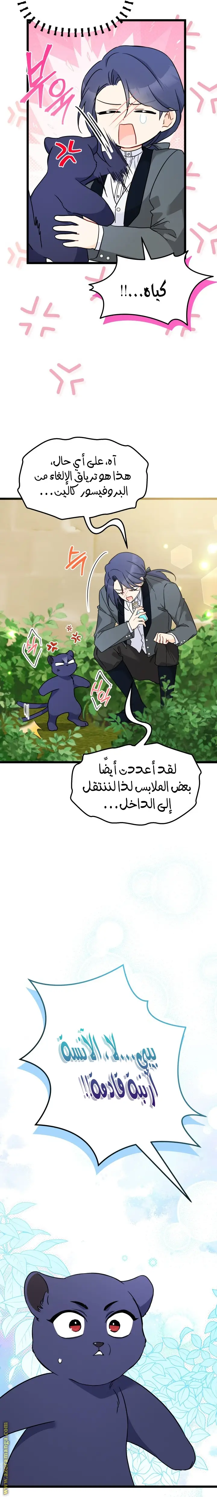 الصفحة 19