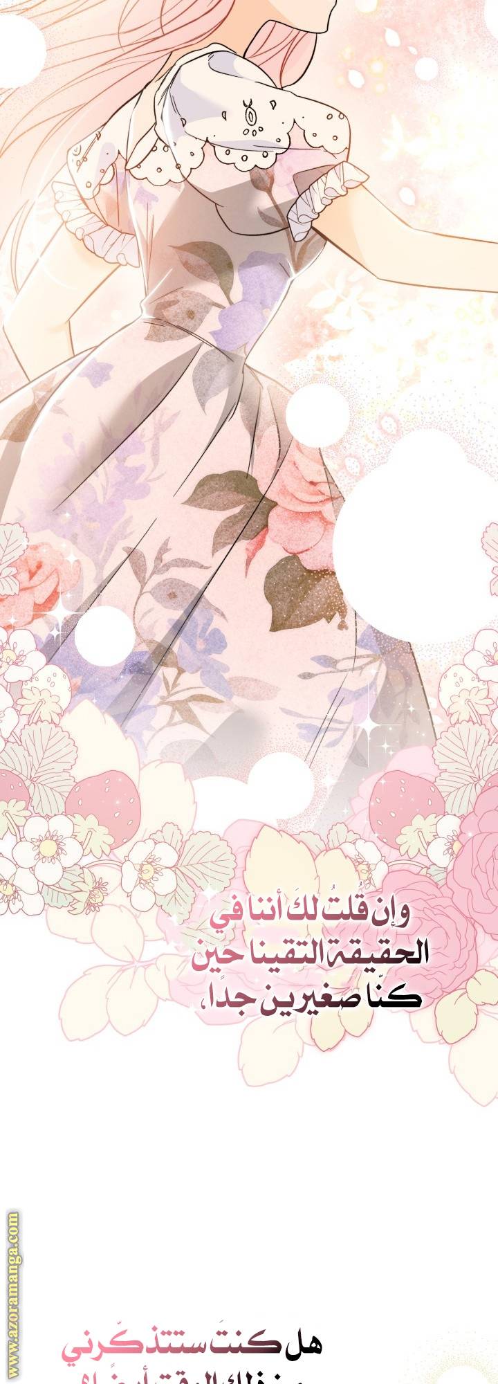 الصفحة 23