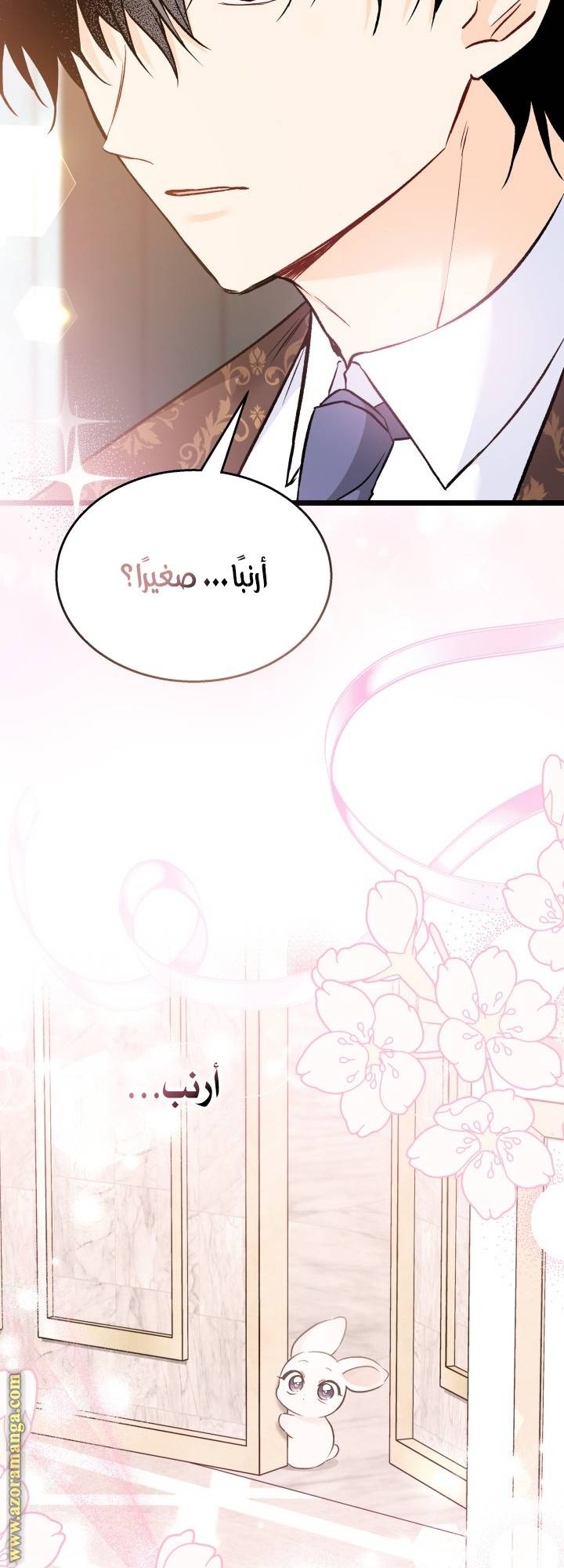 الصفحة 43