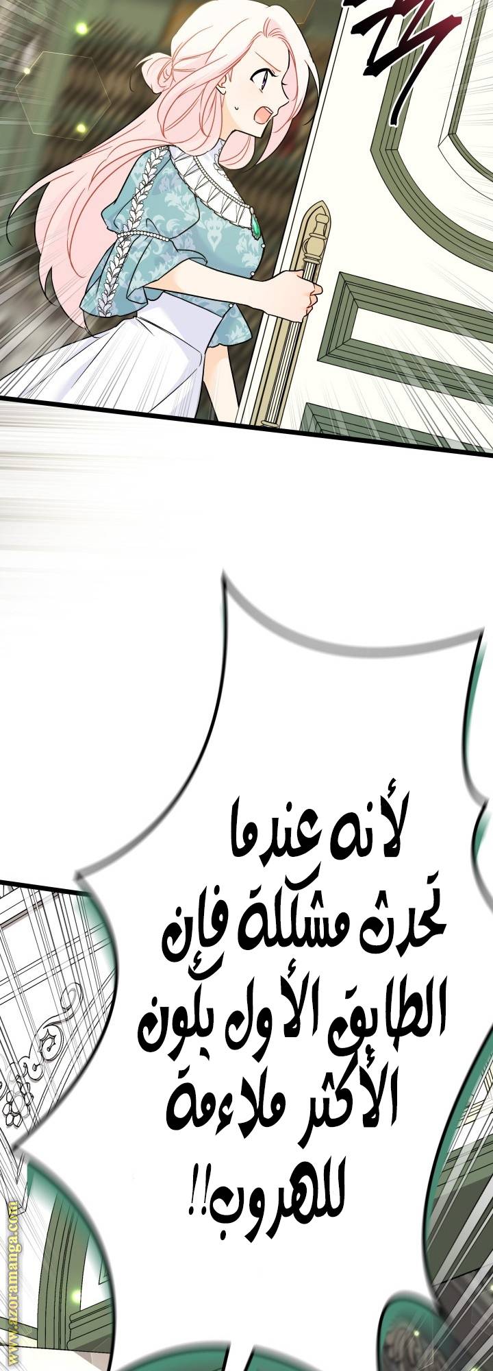 الصفحة 45