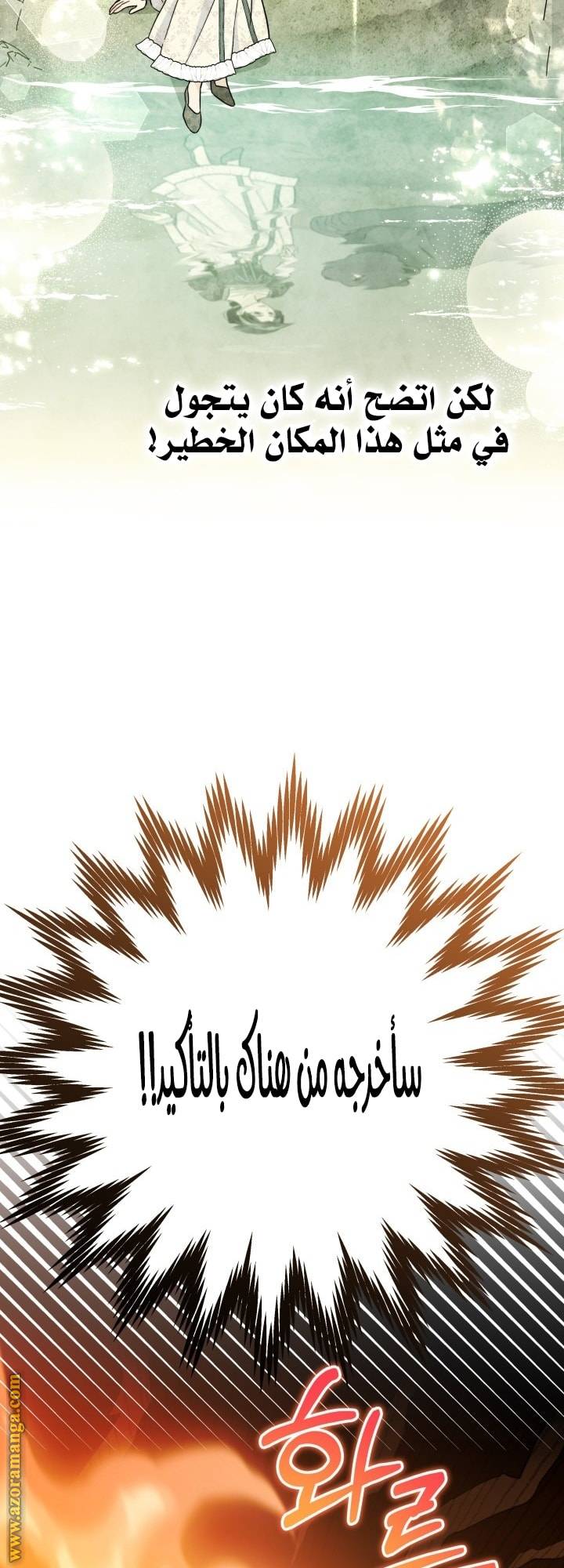 الصفحة 45