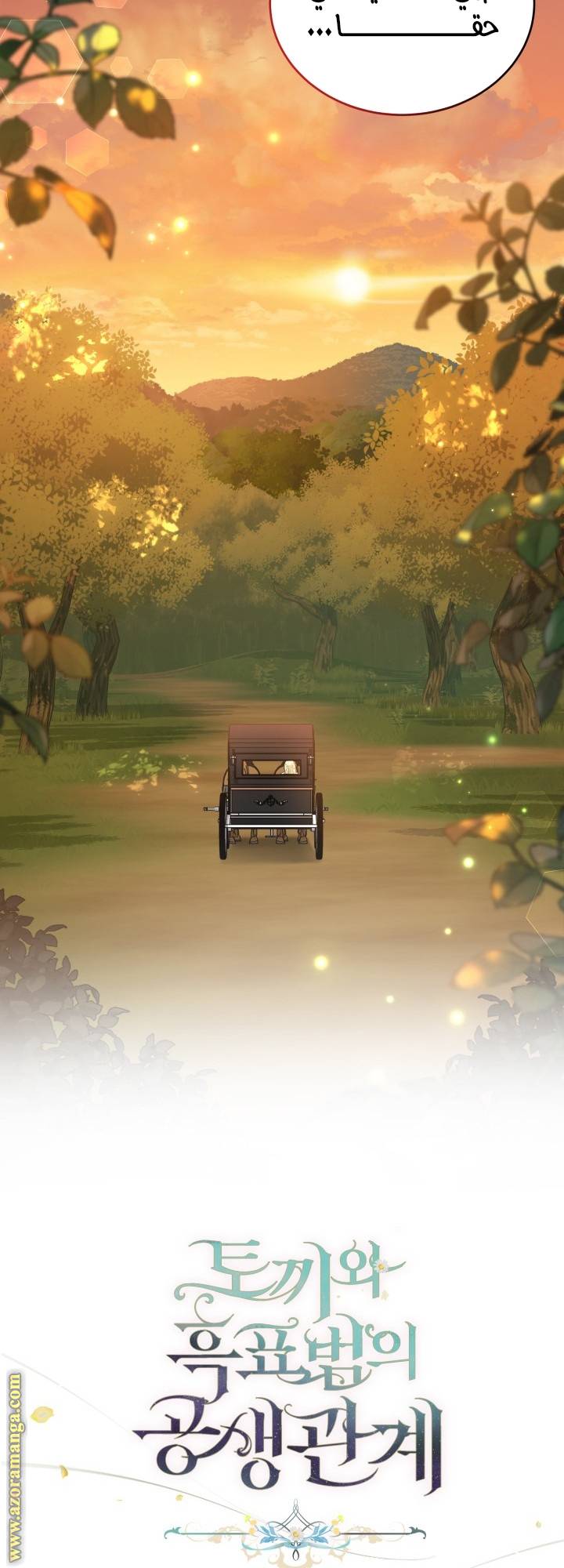 الصفحة 43