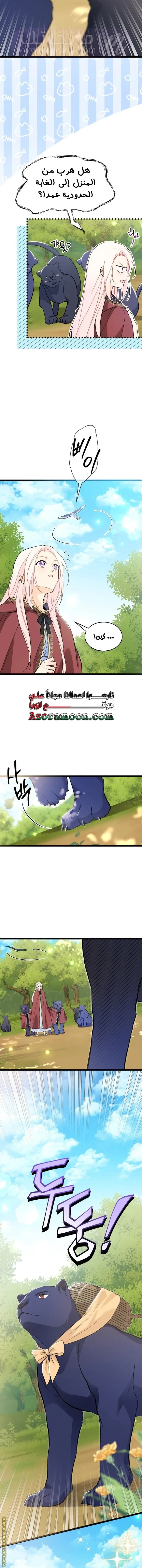 الصفحة 11