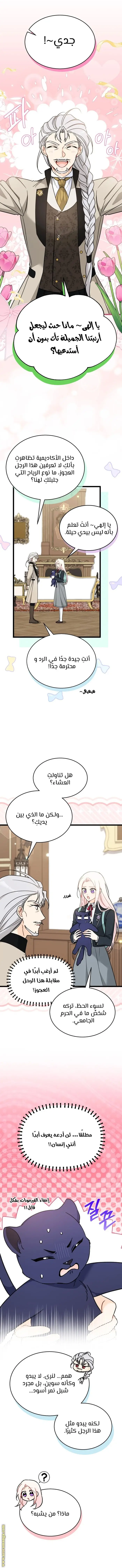 الصفحة 11