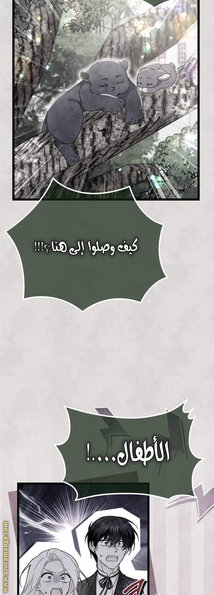 الصفحة 31