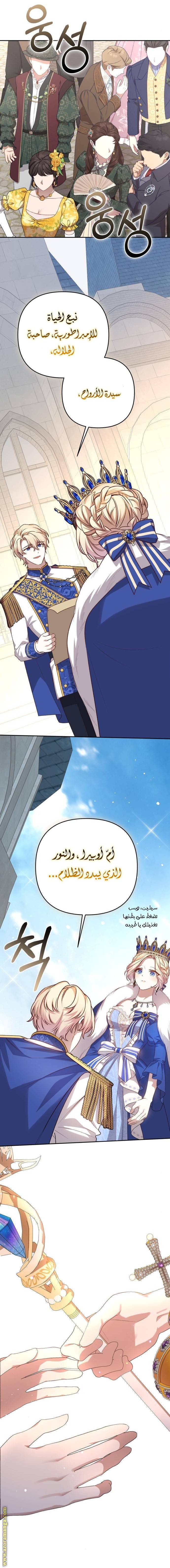 الصفحة 15