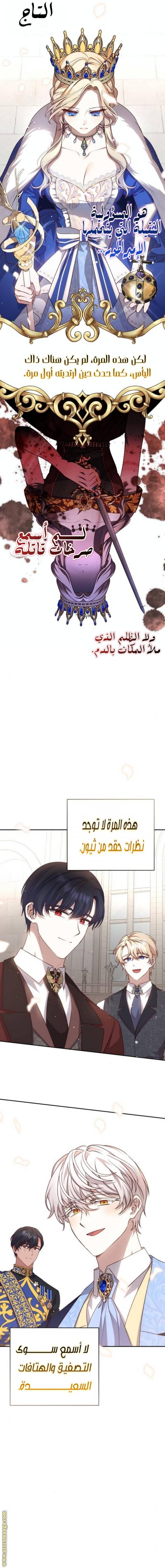 الصفحة 17