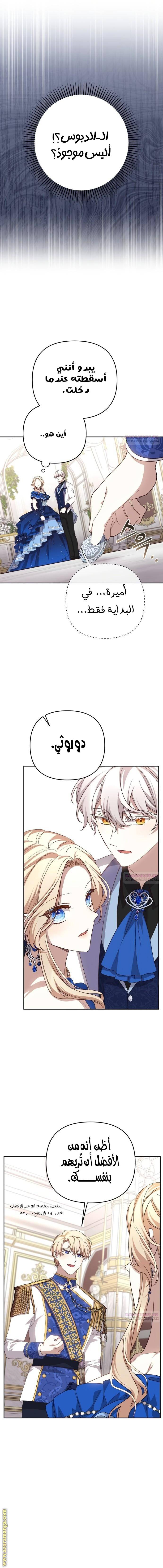 الصفحة 7