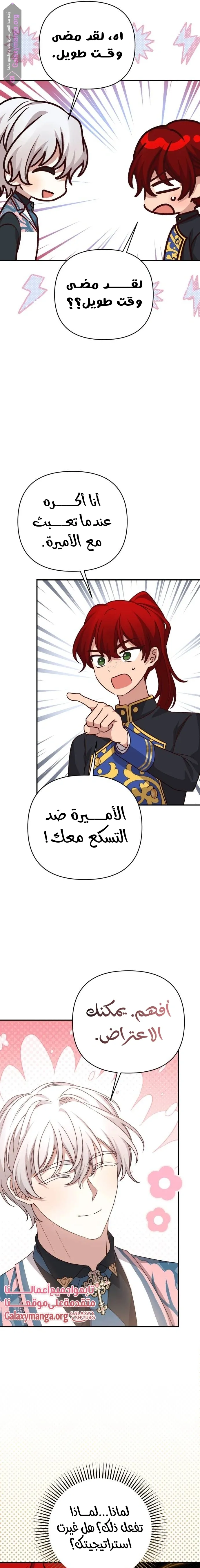 الصفحة 13