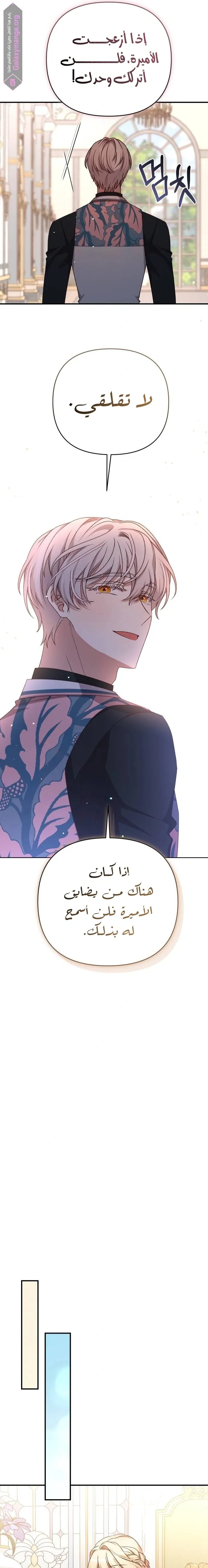 الصفحة 17