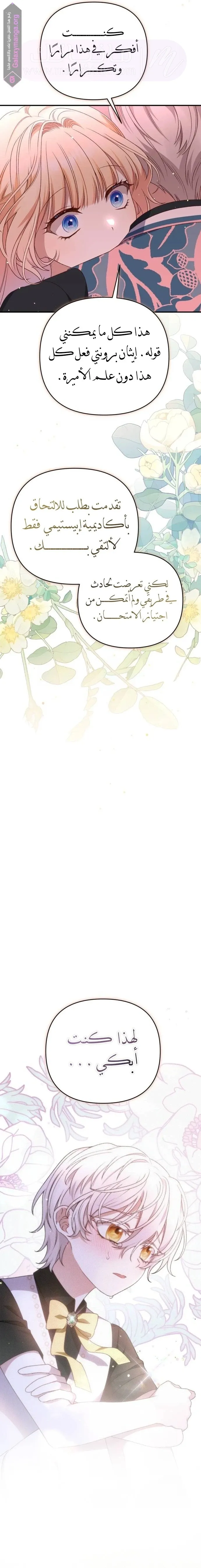 الصفحة 12