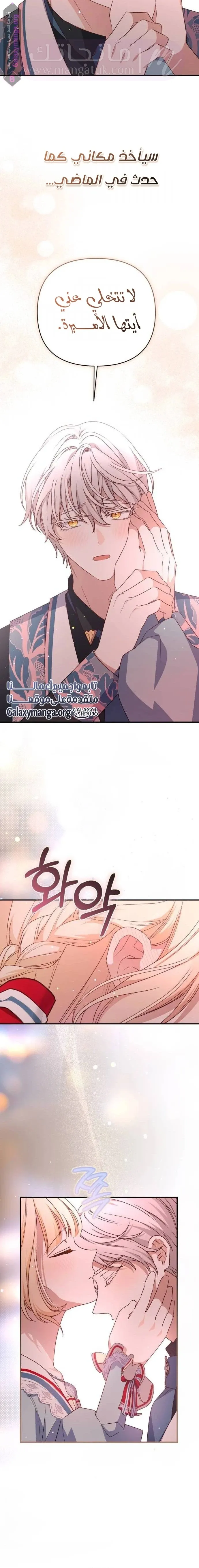 الصفحة 17