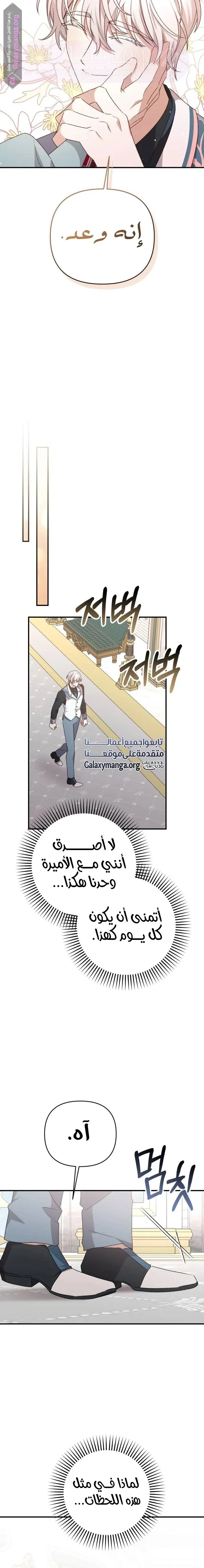 الصفحة 19