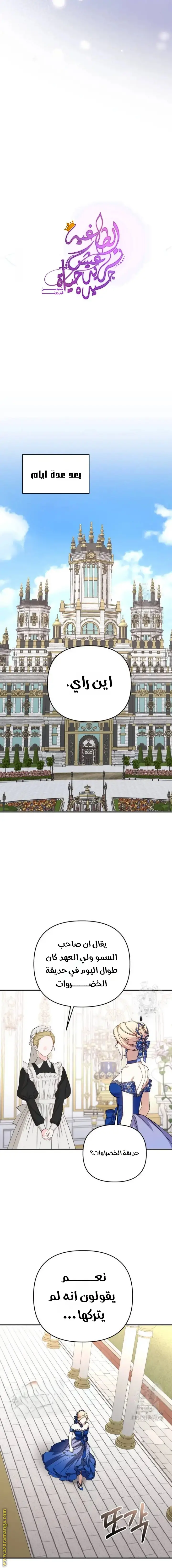 الصفحة 3