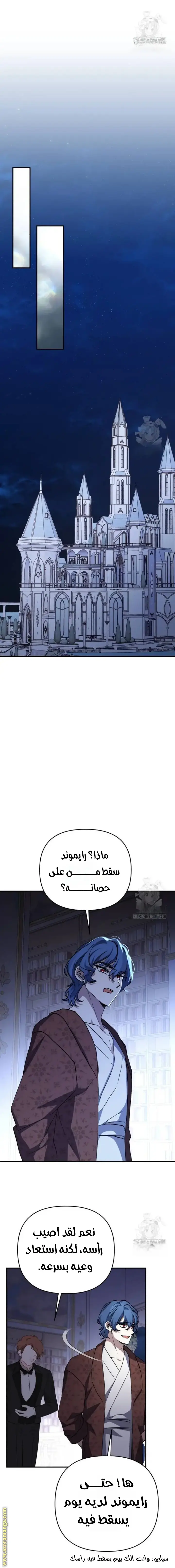 الصفحة 17