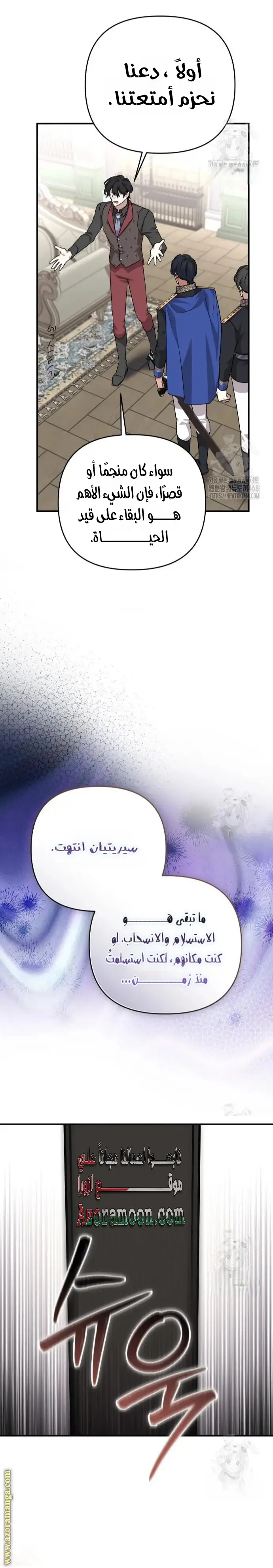 الصفحة 17