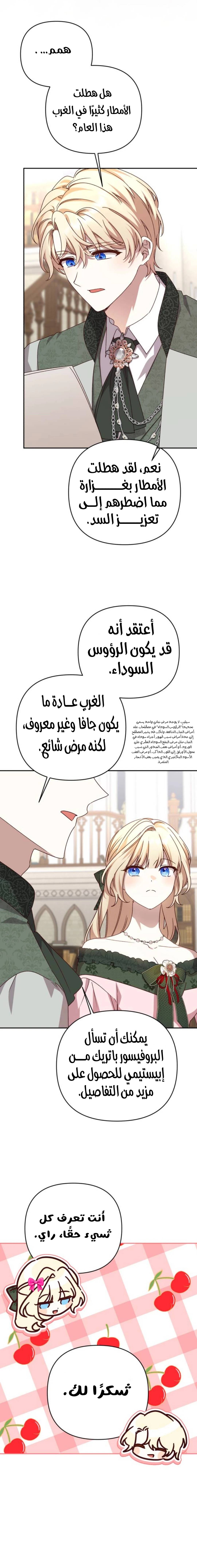 الصفحة 13