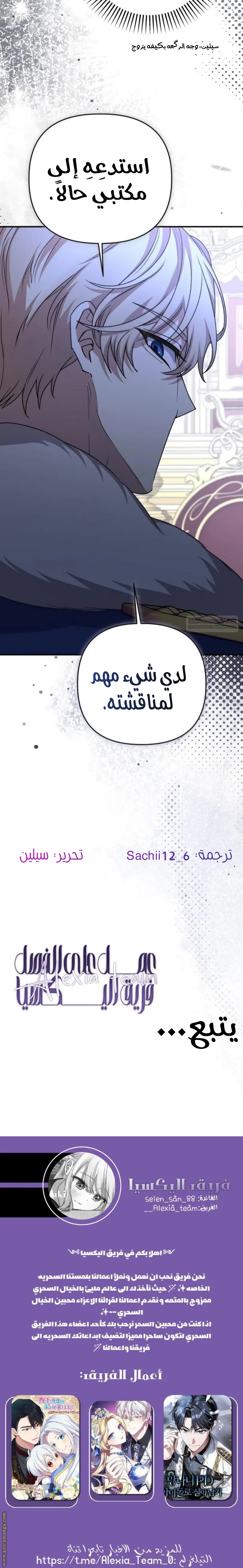الصفحة 17