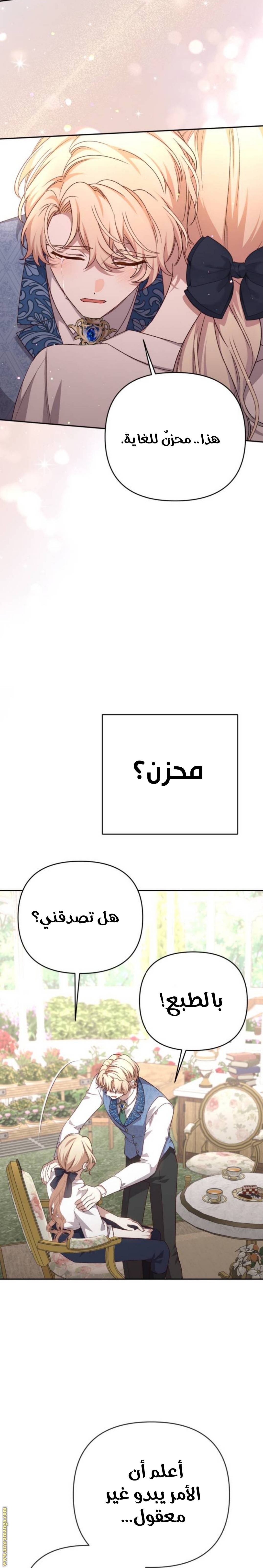 الصفحة 21
