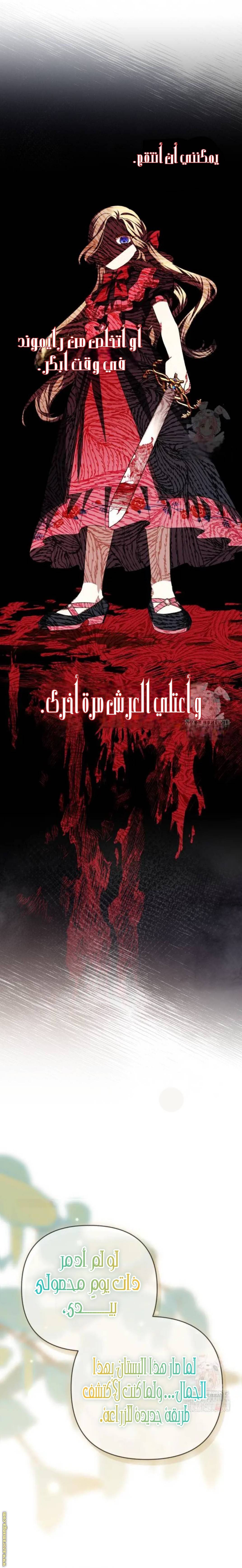 الصفحة 24